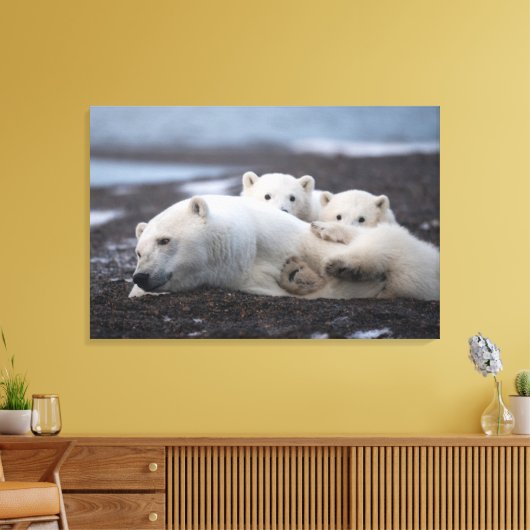Kutest Baby Animals | Polar Beer Family Alaska Canvas Afdruk (Insitu (Woonkamer))