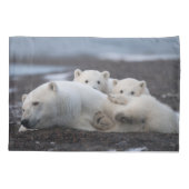 Kutest Baby Animals | Polar Beer Family Alaska Kussensloop (Achterkant)