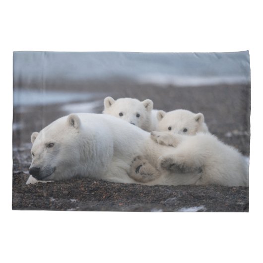 Kutest Baby Animals | Polar Beer Family Alaska Kussensloop (Achterkant)