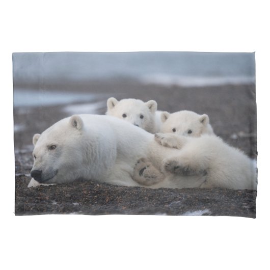 Kutest Baby Animals | Polar Beer Family Alaska Kussensloop (Voorkant)