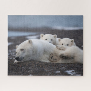 Kutest Baby Animals   Polar Beer Family Alaska Legpuzzel