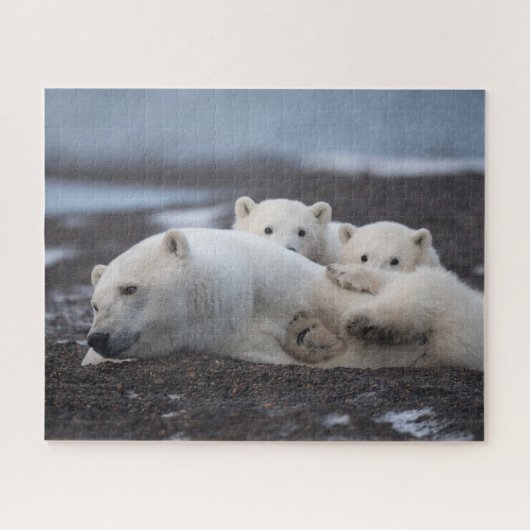 Kutest Baby Animals | Polar Beer Family Alaska Legpuzzel (Horizontaal)