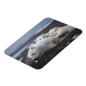 Kutest Baby Animals | Polar Beer Family Alaska Magneet (Linkerzijde)
