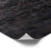 Kutest Baby Animals | Polar Beer Family Alaska Poster (Hoek)