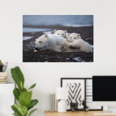 Kutest Baby Animals | Polar Beer Family Alaska Poster (Thuiskantoor)