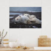 Kutest Baby Animals | Polar Beer Family Alaska Poster (Keuken)