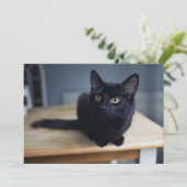 Kutest Baby Animals | Portret van een zwarte kat Bedankkaart (Staand voorkant)