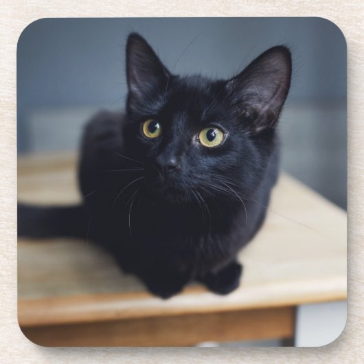 Kutest Baby Animals | Portret van een zwarte kat Bier Onderzetter (Voorkant)