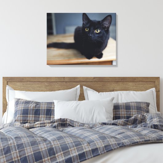 Kutest Baby Animals | Portret van een zwarte kat Canvas Afdruk (Insitu (Slaapkamer))