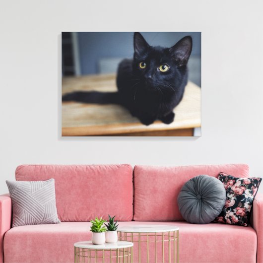 Kutest Baby Animals | Portret van een zwarte kat Canvas Afdruk (Insitu (Woonkamer))