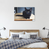 Kutest Baby Animals | Portret van een zwarte kat Canvas Afdruk (Insitu (Slaapkamer))