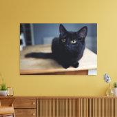 Kutest Baby Animals | Portret van een zwarte kat Canvas Afdruk (Insitu (Woonkamer))