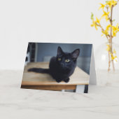 Kutest Baby Animals | Portret van een zwarte kat Kaart (Gele Bloem)