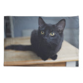 Kutest Baby Animals | Portret van een zwarte kat Kussensloop (Achterkant)