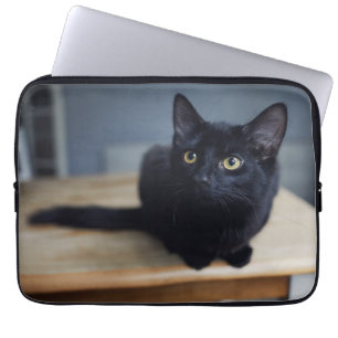 Kutest Baby Animals   Portret van een zwarte kat Laptop Sleeve