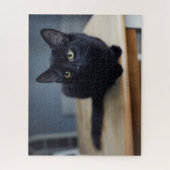 Kutest Baby Animals | Portret van een zwarte kat Legpuzzel (Verticaal)