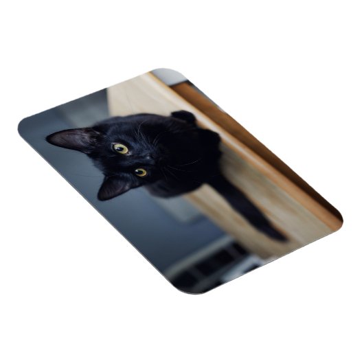 Kutest Baby Animals | Portret van een zwarte kat Magneet (Rechterzijde)