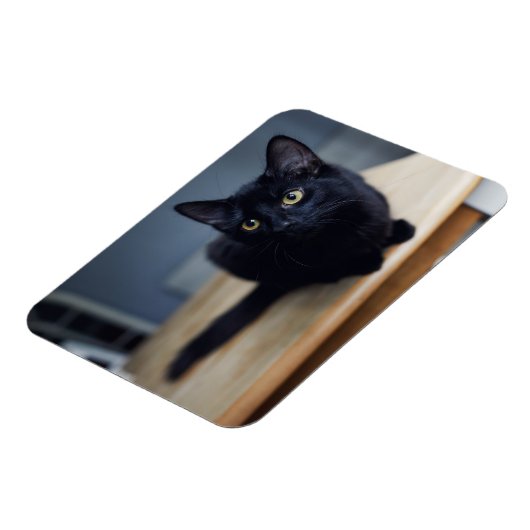 Kutest Baby Animals | Portret van een zwarte kat Magneet (Linkerzijde)