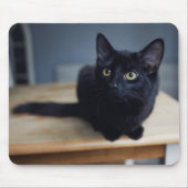 Kutest Baby Animals | Portret van een zwarte kat Muismat (Voorkant)