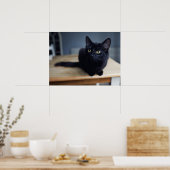 Kutest Baby Animals | Portret van een zwarte kat Poster (Keuken)