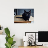 Kutest Baby Animals | Portret van een zwarte kat Poster (Thuiskantoor)