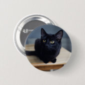 Kutest Baby Animals | Portret van een zwarte kat Ronde Button 5,7 Cm (Voorkant /achterkant)