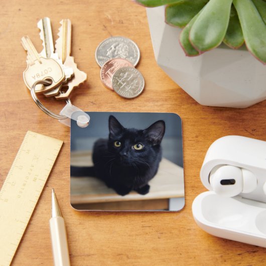 Kutest Baby Animals | Portret van een zwarte kat Sleutelhanger (Bureau)