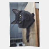 Kutest Baby Animals | Portret van een zwarte kat Theedoek