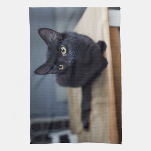 Kutest Baby Animals | Portret van een zwarte kat Theedoek (Verticaal)