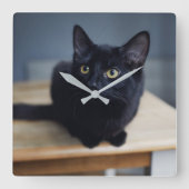 Kutest Baby Animals | Portret van een zwarte kat Vierkante Klok (Voorkant)