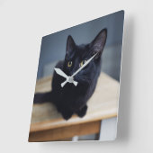 Kutest Baby Animals | Portret van een zwarte kat Vierkante Klok (Hoek)