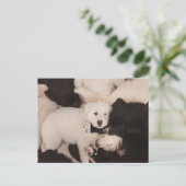 Kutest Baby Animals | PUPPIES Briefkaart (Staand voorkant)