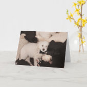 Kutest Baby Animals | PUPPIES Kaart (Gele Bloem)