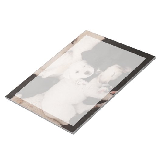 Kutest Baby Animals | PUPPIES Notitieblok (Schuin)