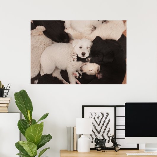 Kutest Baby Animals | PUPPIES Poster (Thuiskantoor)
