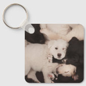 Kutest Baby Animals | PUPPIES Sleutelhanger (Voorkant)