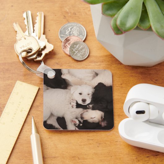 Kutest Baby Animals | PUPPIES Sleutelhanger (Bureau)