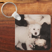 Kutest Baby Animals | PUPPIES Sleutelhanger (Voorkant)