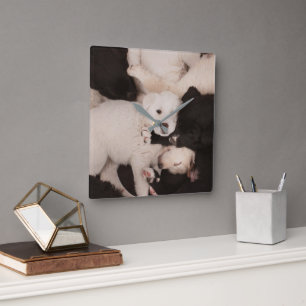 Kutest Baby Animals PUPPIES Vierkante Klok