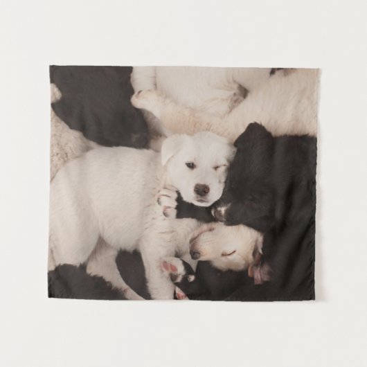 Kutest Baby Animals | PUPPIES Wandkleed (Voorkant (horizontaal))