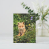 Kutest Baby Animals | Red Fox in Umnak Alaska Briefkaart (Staand voorkant)