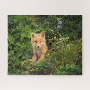 Kutest Baby Animals Red Fox in Umnak Alaska Legpuzzel