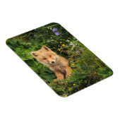 Kutest Baby Animals | Red Fox in Umnak Alaska Magneet (Rechterzijde)