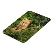 Kutest Baby Animals | Red Fox in Umnak Alaska Magneet (Linkerzijde)