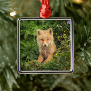 Kutest Baby Animals   Red Fox in Umnak Alaska Metalen Ornament