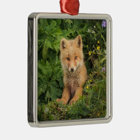 Kutest Baby Animals | Red Fox in Umnak Alaska Metalen Ornament (Rechts)