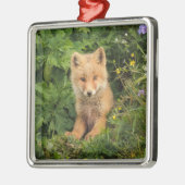Kutest Baby Animals | Red Fox in Umnak Alaska Metalen Ornament (Links)