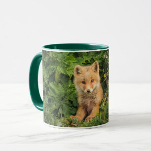 Kutest Baby Animals   Red Fox in Umnak Alaska Mok