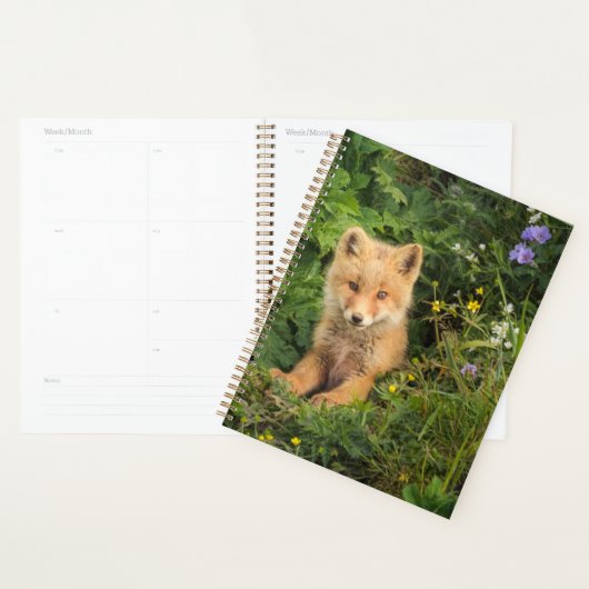 Kutest Baby Animals | Red Fox in Umnak Alaska Planner (Display)