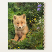 Kutest Baby Animals | Red Fox in Umnak Alaska Planner (Achterkant)